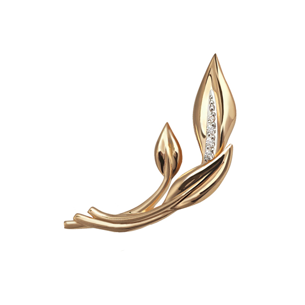 картинка брошь