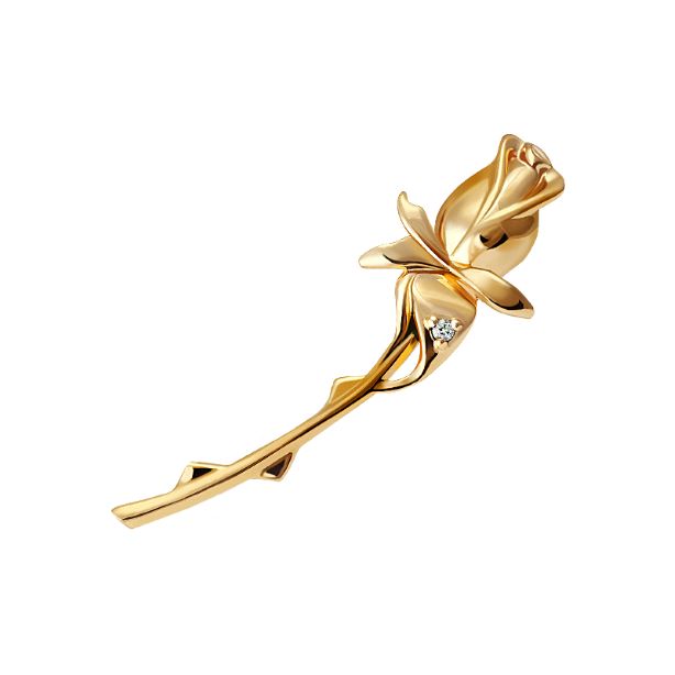 картинка брошь