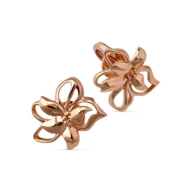 картинка серьги