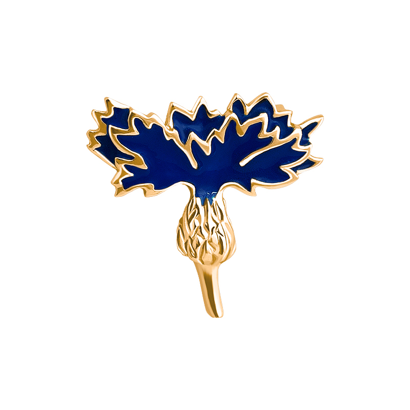 картинка брошь