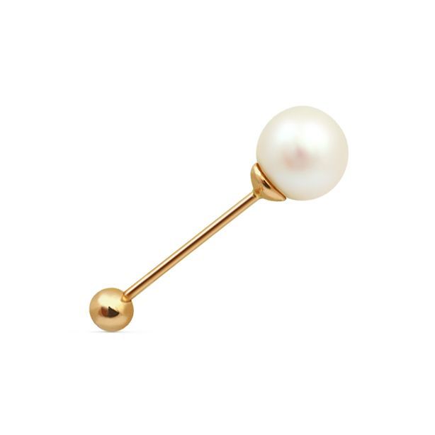 картинка брошь