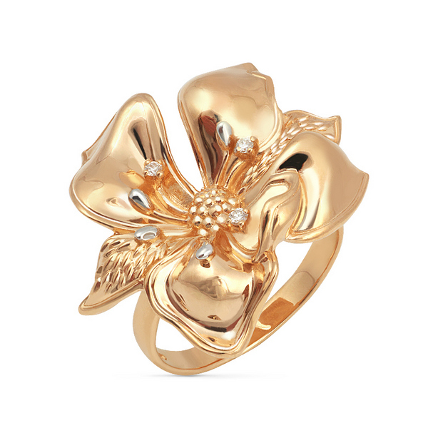 картинка кольцо