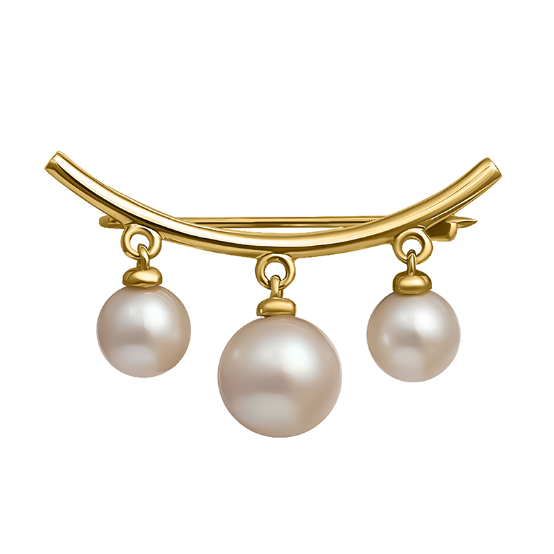 картинка брошь