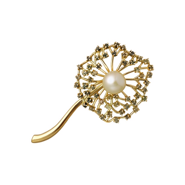 картинка брошь