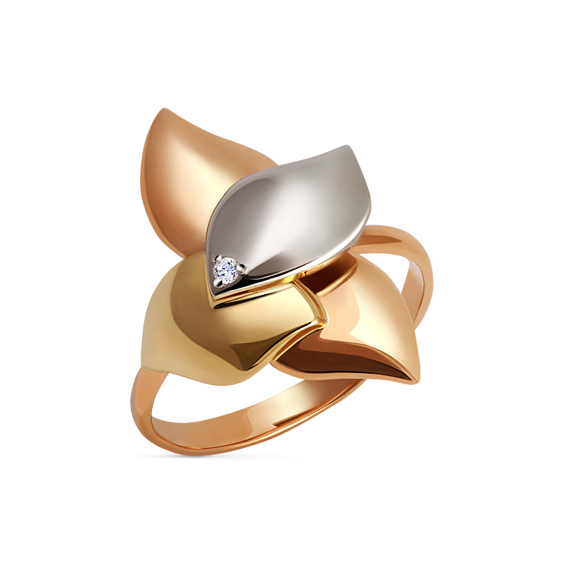 картинка кольцо