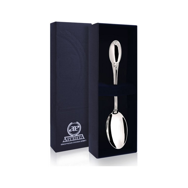 картинка Ложка чайная гладкая+футляр