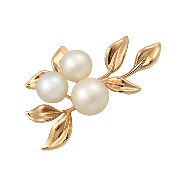 картинка брошь